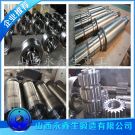 高压法兰管线锻件