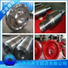 1.4462双相不锈钢锻件