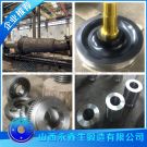 S20100不锈钢锻件