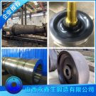 S20200不锈钢锻件