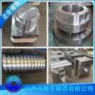 0Cr17Ni12Mo2N不锈钢锻件