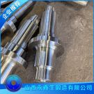 锻造301不锈钢锻件