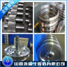 P355NH材质锻件