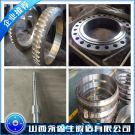 EN10222-5材质锻造